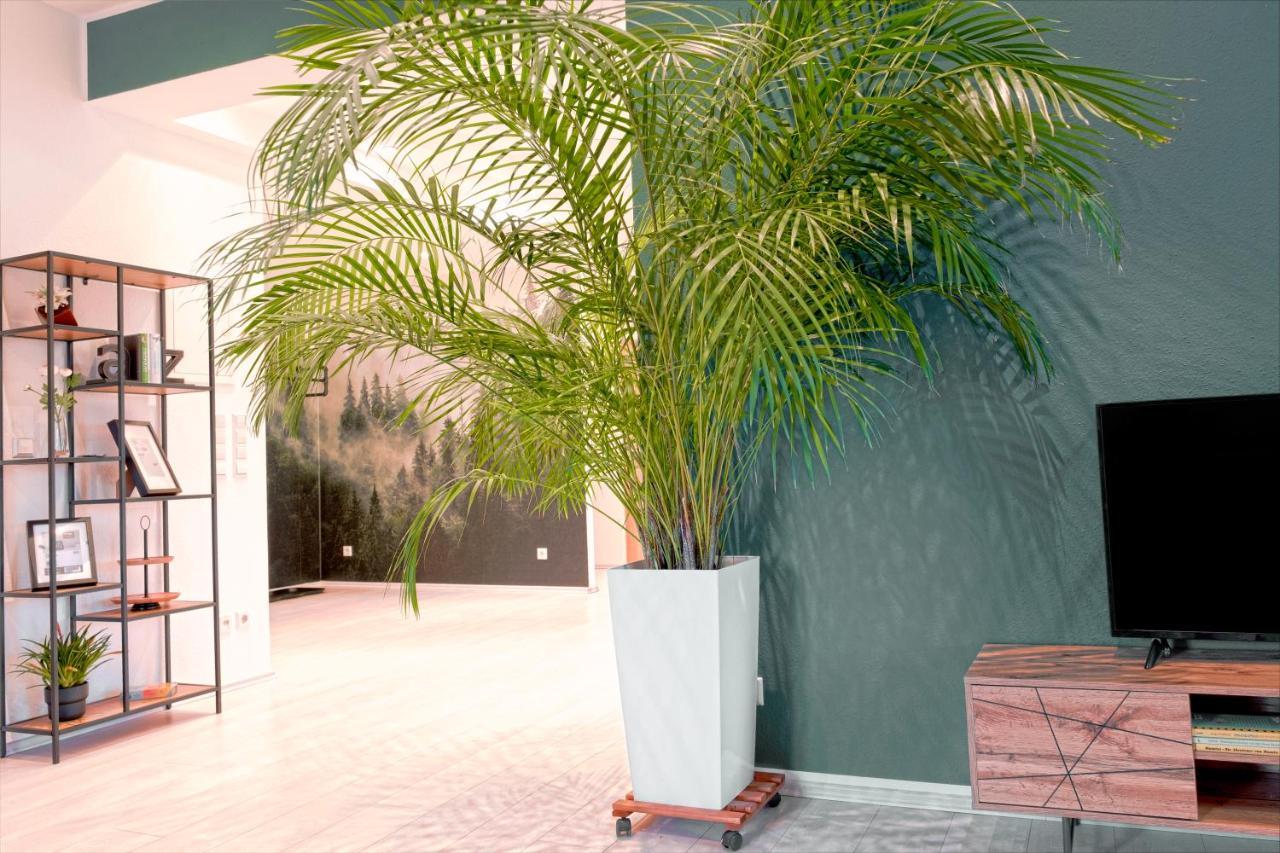 Hama Design Homes يبستات المظهر الخارجي الصورة